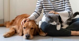 pet owner on long island