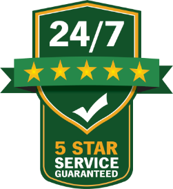 5 star Services