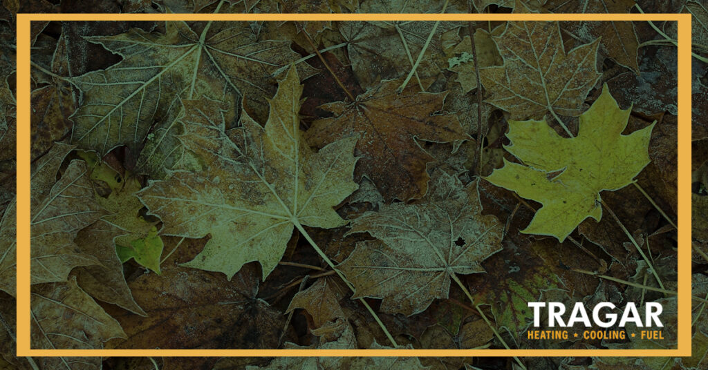 Various dry leaves in shades of green and brown on the ground, framed with a gold border. Text in the bottom right corner reads "TRAGAR Heating • Cooling • Fuel.